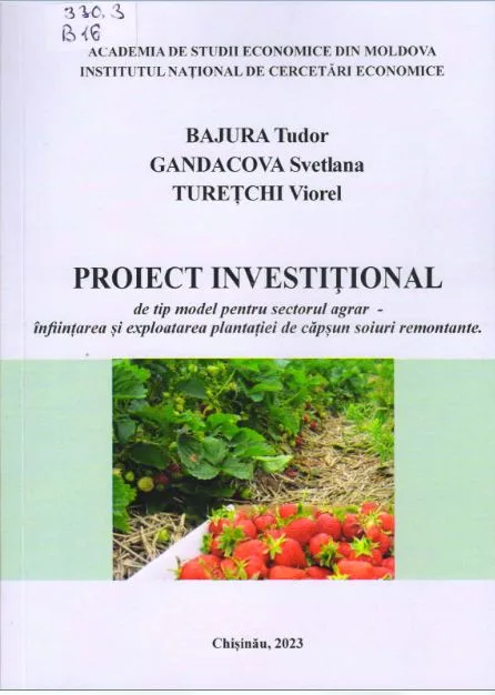 Proiect investitional de tip model pentru sectorul agrar – infiintarea si exploatarea plantatiei de capsun soiuri remontante.